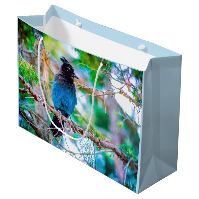Steller's Jay - Original Foto Große Geschenktüte (Vorderseite Schrägansicht)