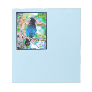 Steller's Jay - Original Foto Notizblock