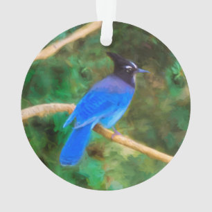 Steller's Jay Painting - Art original pour les ois