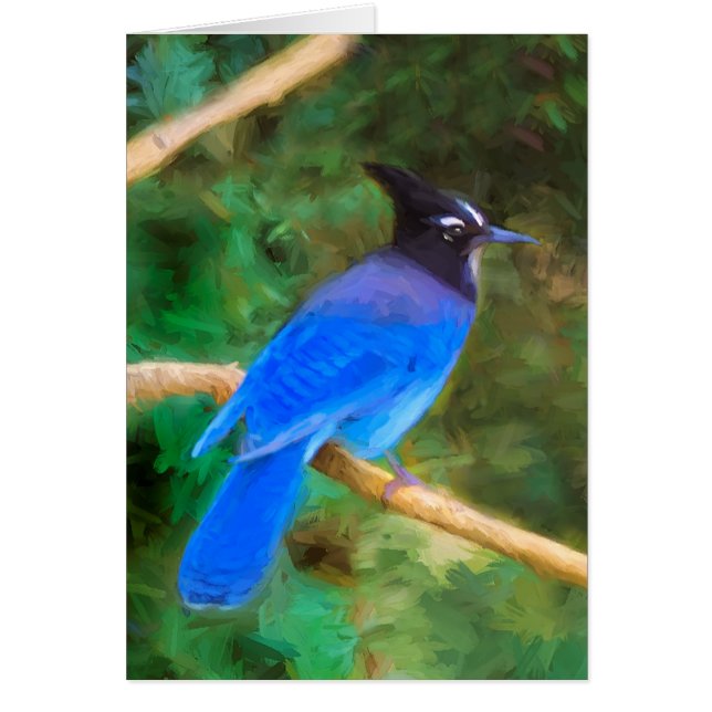 Steller's Jay Painting - Art original pour oiseaux (Devant)