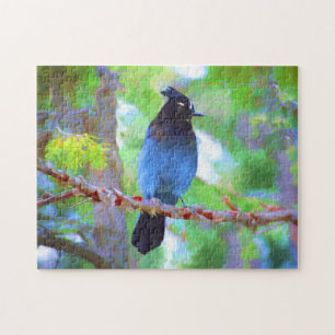 Steller's Jay Painting - Original Bird Art