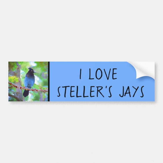 Steller's Jay Painting - Original Bird Art Autoaufkleber (Vorne)