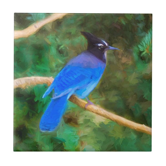 Steller's Jay Painting - Original Bird Art Fliese (Vorderseite)
