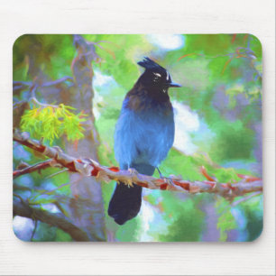 Steller's Jay Painting - Original Bird Art Mousepad