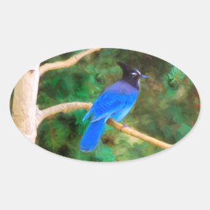 Steller's Jay Painting - Original Bird Art Ovaler Aufkleber