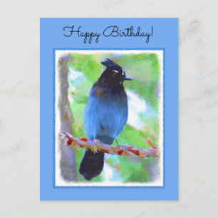 Steller's Jay Painting - Original Bird Art Postkarte