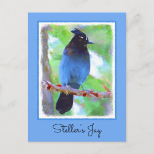 Steller's Jay Painting - Original Bird Art Postkarte