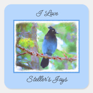 Steller's Jay Painting - Original Bird Art Quadratischer Aufkleber