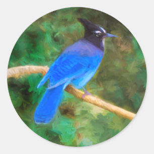 Steller's Jay Painting - Original Bird Art Runder Aufkleber