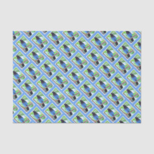 Steller's Jay Painting - Original Bird Art Seidenpapier