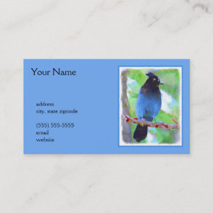 Steller's Jay Painting - Original Bird Art Visitenkarte