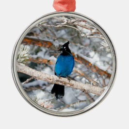 Stellers Jay Round Ornament Aus Metall