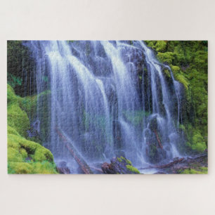 Stellvertreterfallen in Oregons zentralen Kaskaden