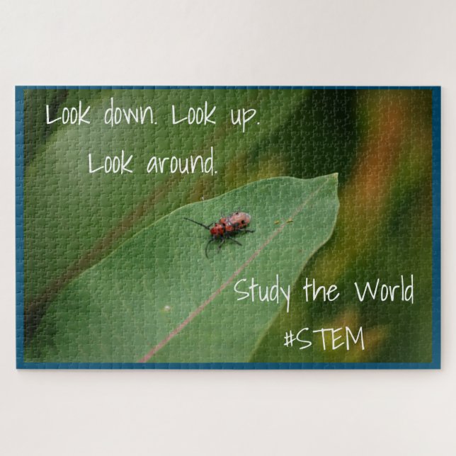 STEM-Insektennatur (Horizontal)