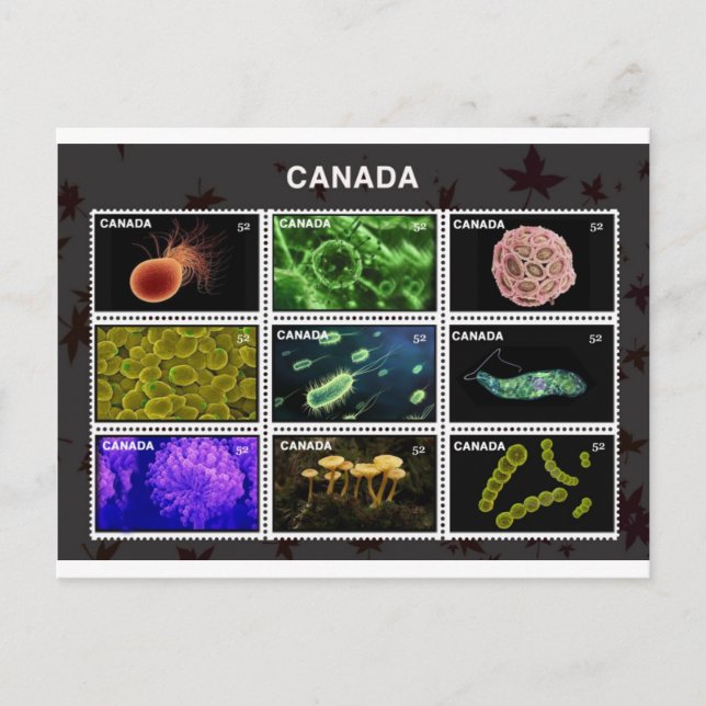 stempel postkarte (Vorderseite)