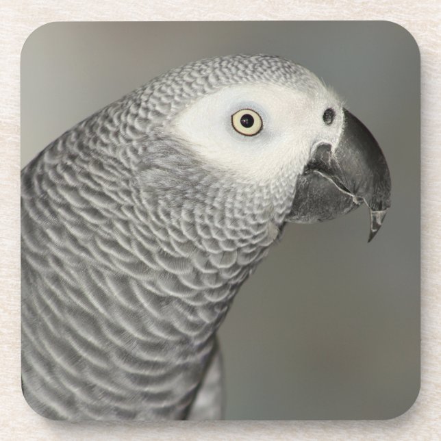 Stently African Gray Parrot Untersetzer (Vorderseite)