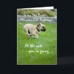 Step Brother, 50 th Birthday Puppy Running Karte<br><div class="desc">Dein Schrittbruder verdient ein Lächeln an seinem Geburtstag. Schick ihm diese niedliche und lustige Karte mit diesem Welpen,  der so schnell aus den Jahren läuft,  um ihn zu fangen. Dies ist ein perfekter Weg,  um Spaß mit Ihren herzlichen Wünschen an seinem 50. Geburtstag.</div>