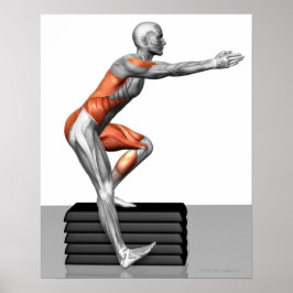 Step-Down-Übungen Poster