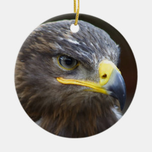 Steppe Eagle Nah-Up Portrait Keramikornament