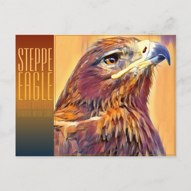 Steppe Eagle [Postkarte] Postkarte (Vorderseite)