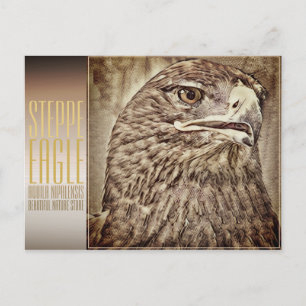Steppe Eagle [Postkarte] Postkarte