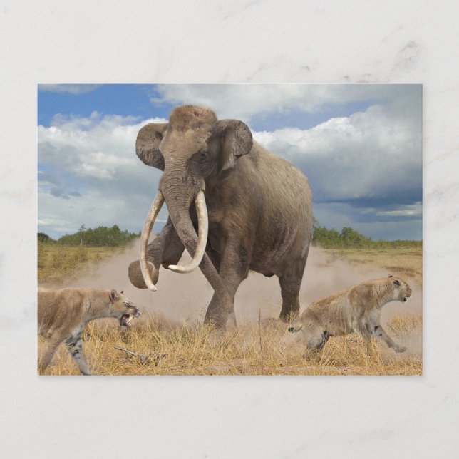 Steppe Mammot Postkarte (Vorderseite)
