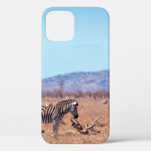 Steppenzebra im Kruger-Nationalpark, Südafrika Case-Mate iPhone Hülle