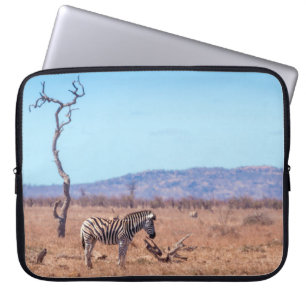 Steppenzebra im Kruger-Nationalpark, Südafrika Laptopschutzhülle