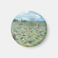 Stepping Stones Decorative Kühlschrank Magnet