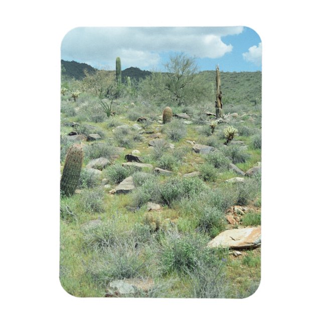 Stepping Stones Decorative Western Foto Magnete (Vertikal)