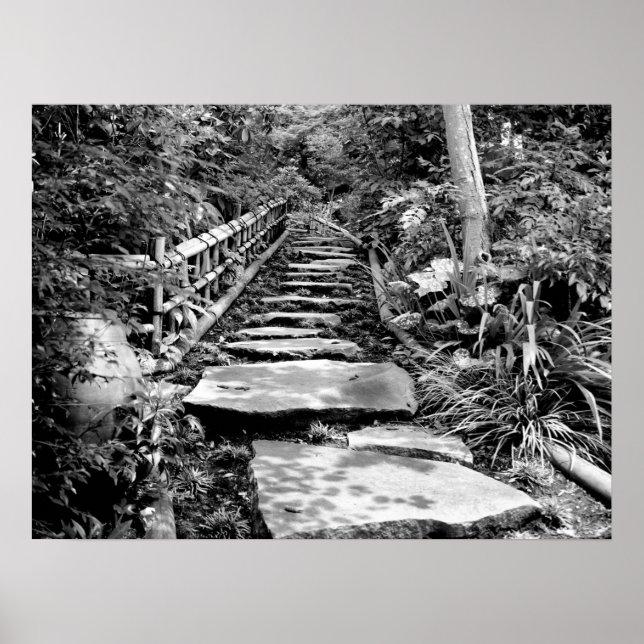 Steppweg in Schwarz/Weiß Poster (Vorne)