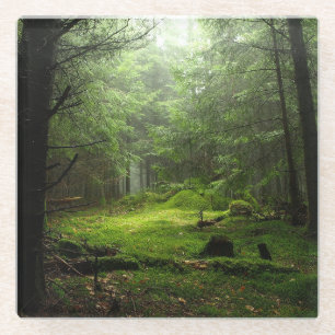 Sterious Wald Glasuntersetzer