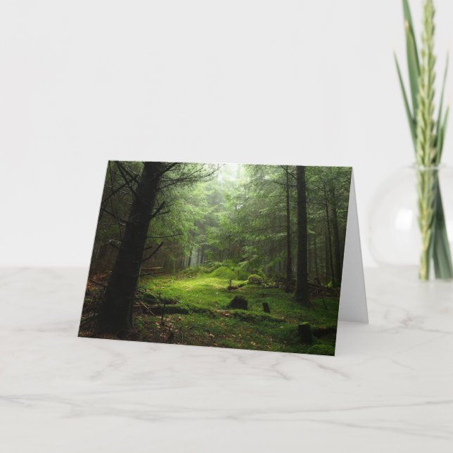 Sterious Wald Karte (Vorderseite)