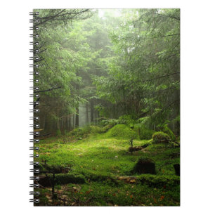 Sterious Wald Notizblock