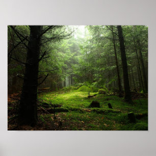 Sterious Wald Poster