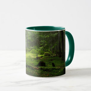 Sterious Wald Tasse