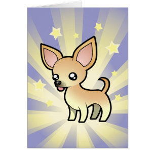 Stern-Chihuahua (glatter Mantel)