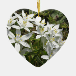 Stern der Bethlehem-Blume Ornithogalum umbellatum Keramikornament
