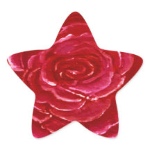 Stern der Rose