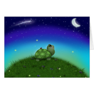 Stern, der Schildkröte anstarrt