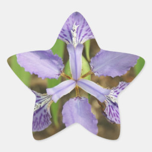 Stern-Iris-Aufkleber Stern-Aufkleber