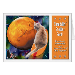 Stern Surfer-Katze Chili-Pfeffer