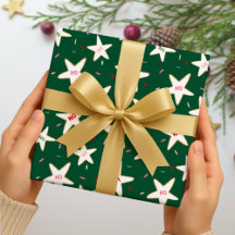 Stern-Weihnachtsmuster aus Lebkuchen