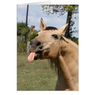 Sternbeere