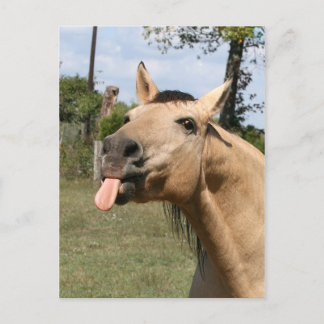 Sternbeere Postkarte