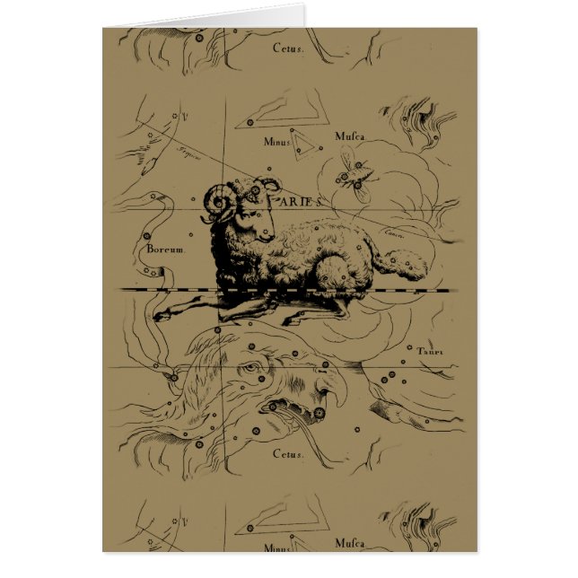 Sternbild Aries Hevelius 1690 (Vorne)
