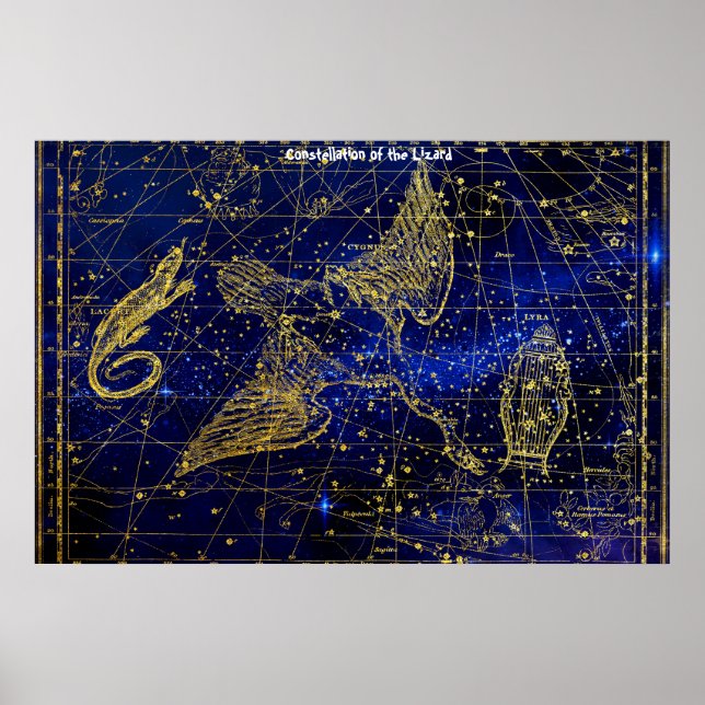 Sternbild des Eidechse Poster (Vorne)