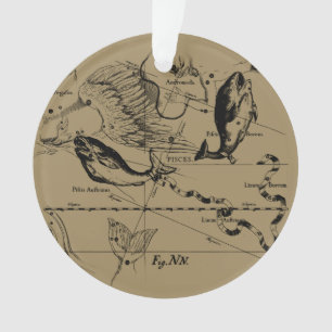 Sternbild Hevelius 1690 Gravieren Ornament