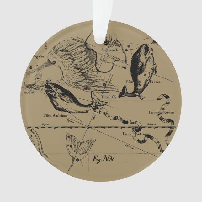 Sternbild Hevelius 1690 Gravieren Ornament (Vorderseite)