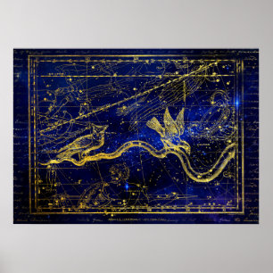 Sternbildposter des Tierkreises Poster
